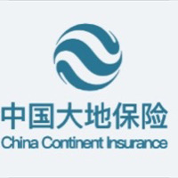 中國大地保險股份有限公司定遠支公司